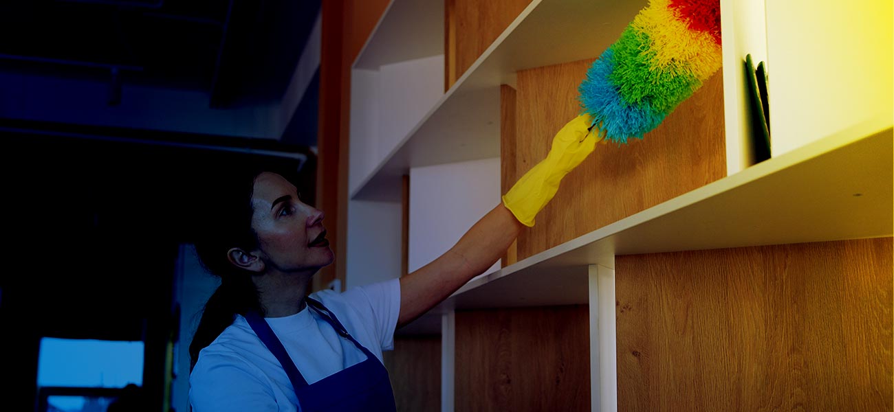 Ankara Villa / Dublex Ev Temizliği